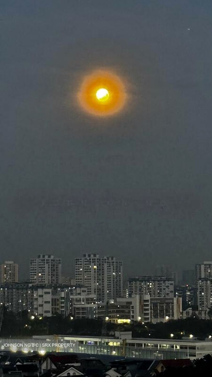 Kensington Park Condominium (D19), Condominium #502398921